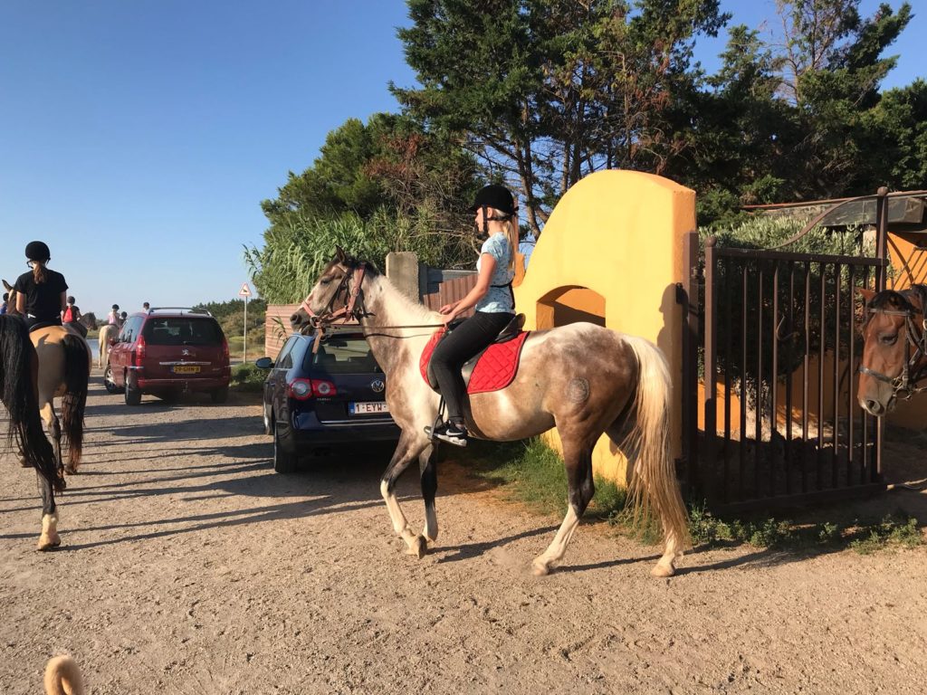 Paardrijden Ranch Camargue Marseillan
