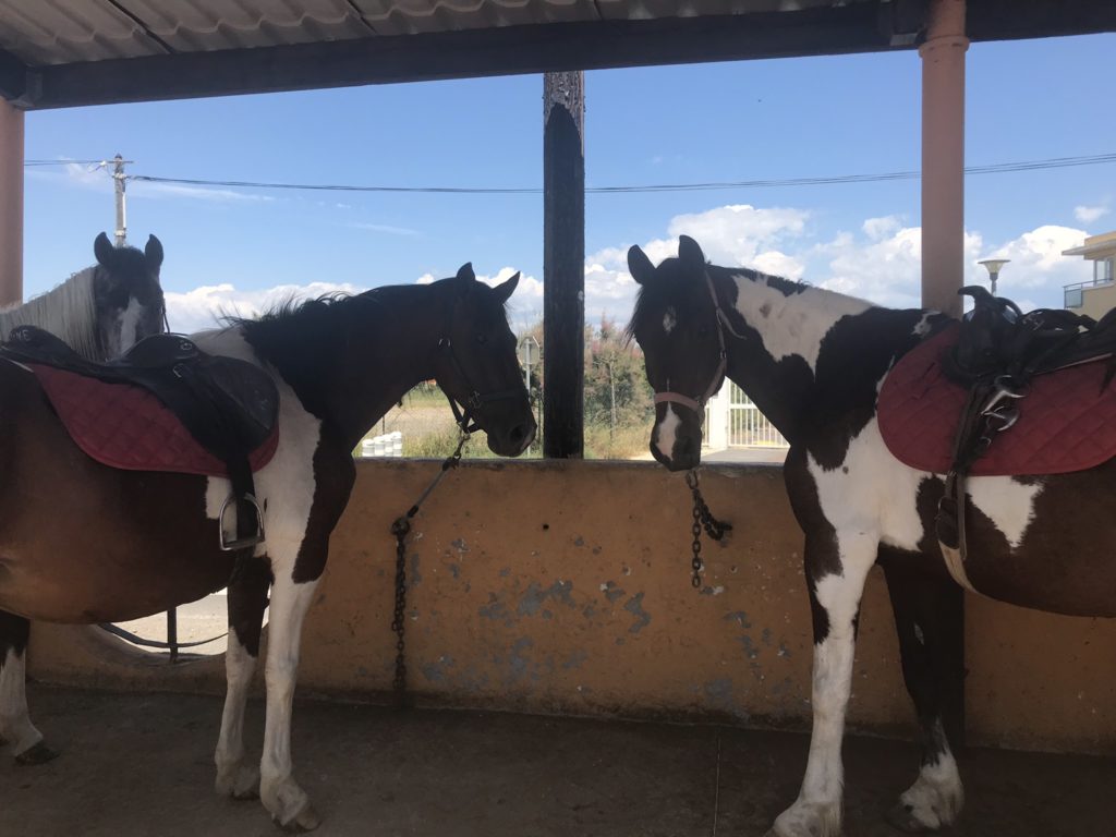 Ranch Camargue